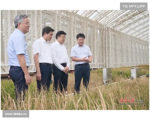 【高质量发展调研行】一度“绿电”的风光蜕变