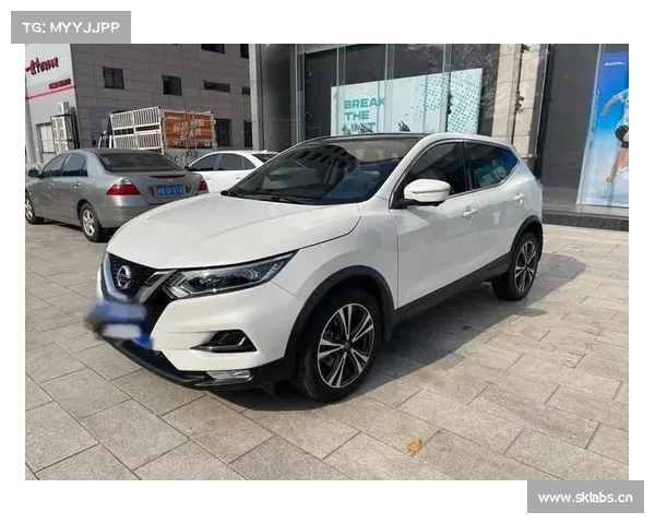 东风日产新逍客高速失控 4S店仅做系统升级引车主担忧 东风日产新逍客高速失控 4S店仅做系统升级引车主担忧