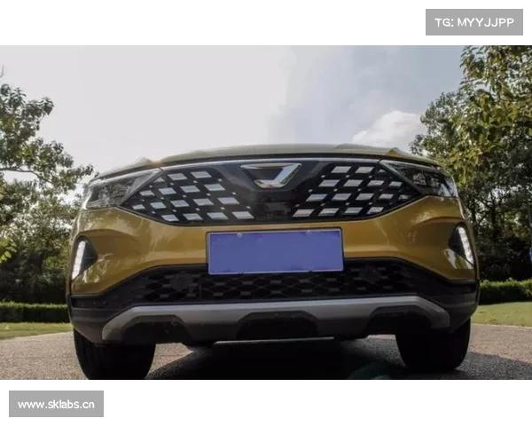 乐山天牛新潞捷达4S店开业大吉